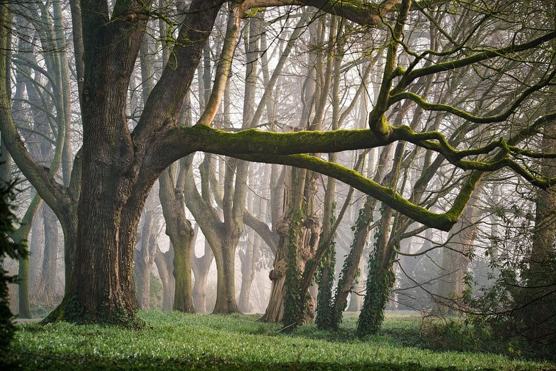 Enchanted Forest, Germany