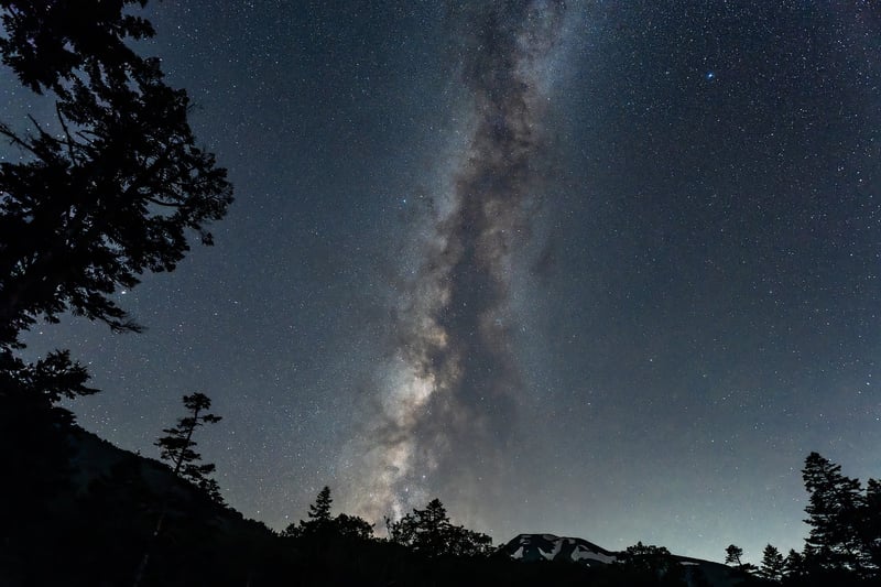 Milky Way over forest